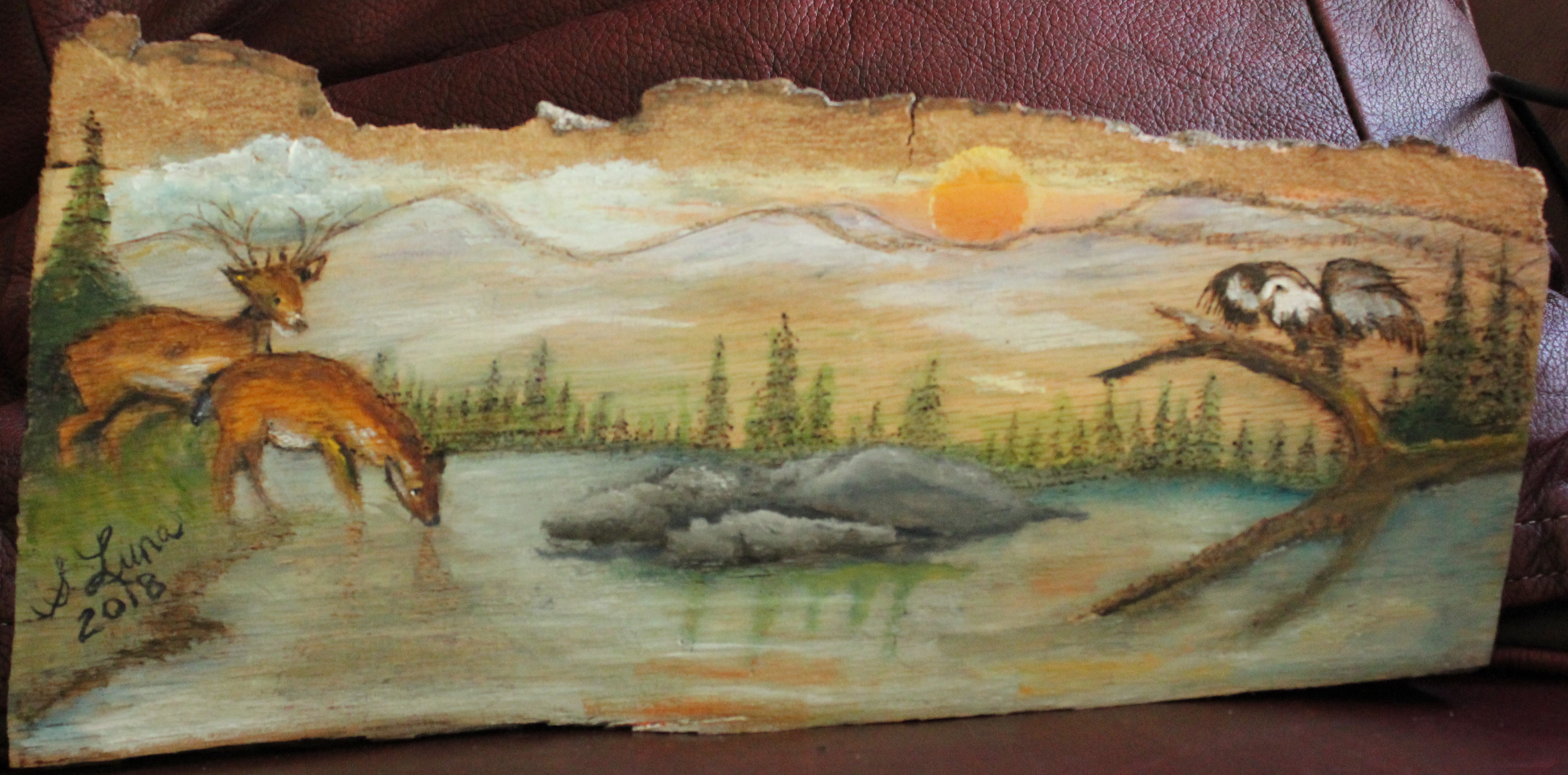 Wood Burn River